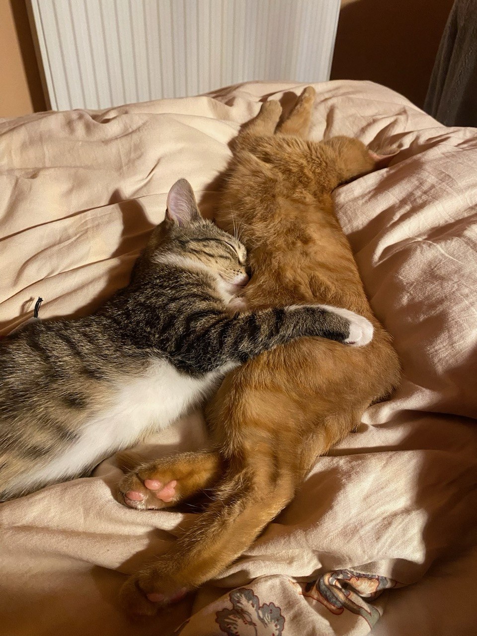 Przyjezdni, którzy zostali.